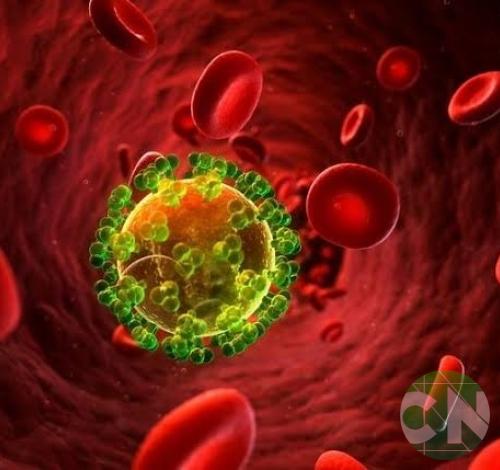 Cientistas alemães anunciam 7ª pessoa provavelmente curada do HIV