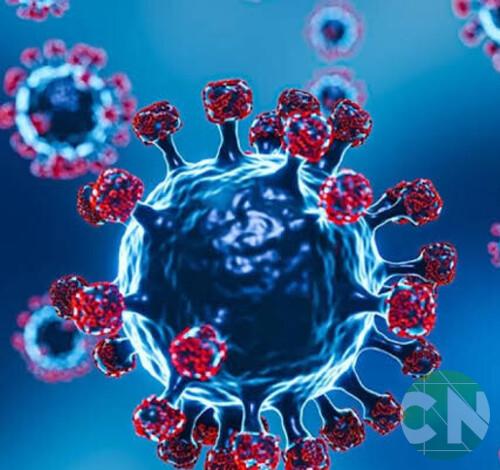 Pesquisa avalia sequelas da covid-19 na população 