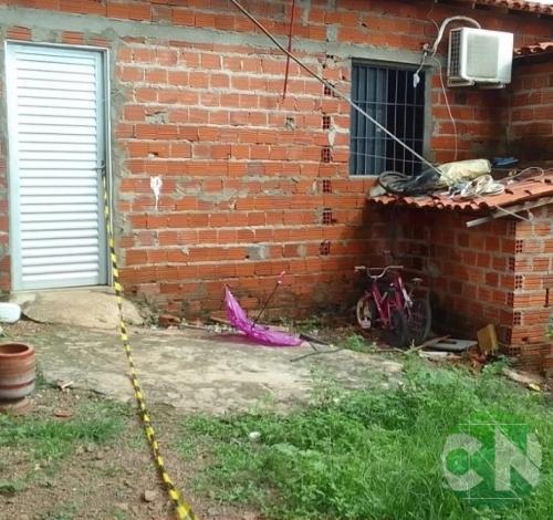 Pitbull ataca criança na zona Leste de Teresina e para soltar a vítima, o cão foi sacrificado