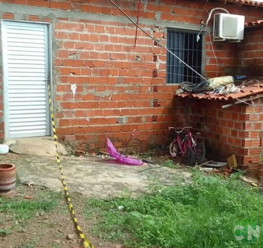 Pitbull ataca criança na zona Leste de Teresina e para soltar a vítima, o cão foi sacrificado