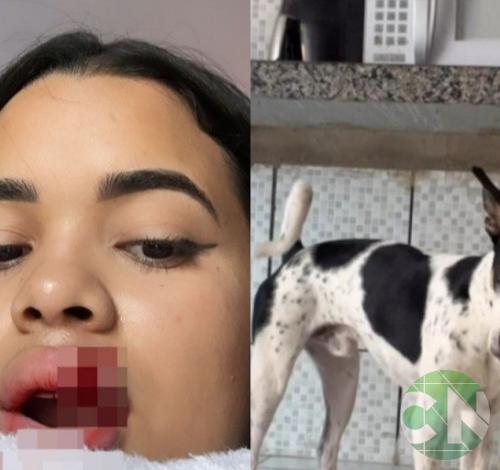 Modelo tem parte dos lábios arrancados ao tentar beijar cachorro 