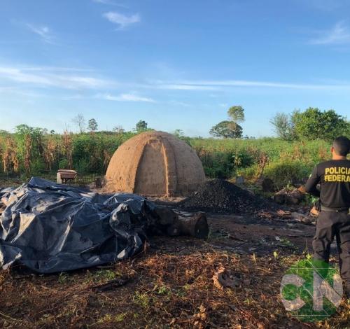 PF prende madeireiros no interior do Maranhão