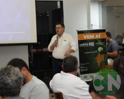 Nelore Matsuda Bacabal