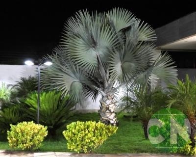 Formatura de Irla na Vila Fiore 