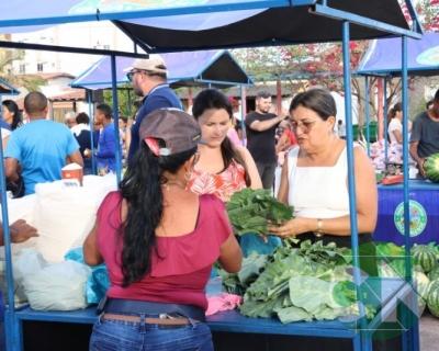 Feira do Agricultor Bacabalense 