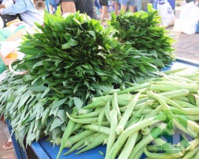 Feira do Agricultor Bacabalense 