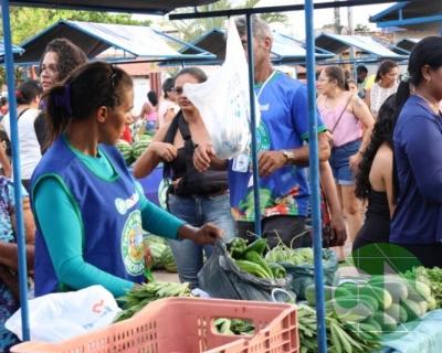 Feira do Agricultor Bacabalense 