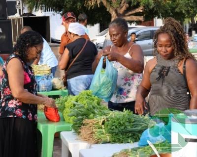Feira do Agricultor Bacabalense 