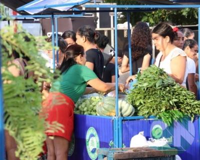 Feira do Agricultor Bacabalense 