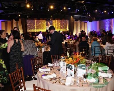 Nelore Fest São Paulo